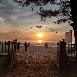 Deva Samudra Beach Stay